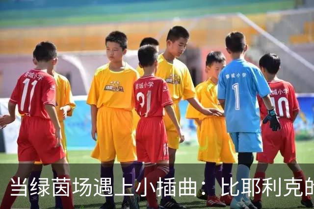 当绿茵场遇上小插曲：比耶利克的误会与警方“宅男式”调查